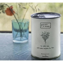 Kit à semer un petit rien