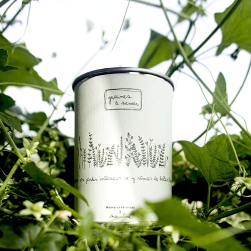 Mauvaises Graines - Kit à semer jardin interieur