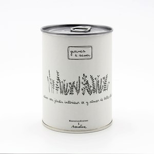 Kit à semer jardin interieur