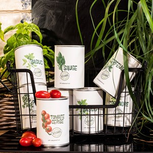 Kit à semer du basilic