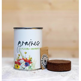Kit à semer graines de fleurs sauvages