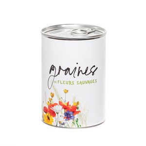 Kit à semer graines de fleurs sauvages