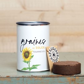 Kit à semer graines de soleil