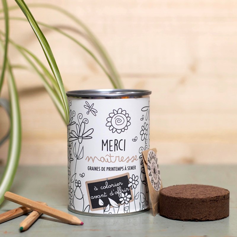 Mauvaises Graines - Kit à semer merci maitresse