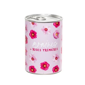 Kit à semer graines de roses trémières