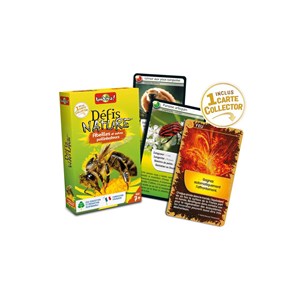 Défis nature animaux - abeilles et autre