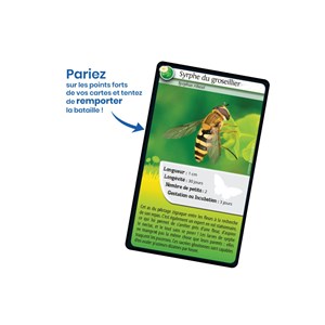 Défis nature animaux - abeilles et autre