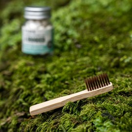 Brosse à dents de voyage en bois