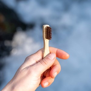 Brosse à dents de voyage en bois
