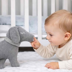 Peluche doudou chien teckel coton bio