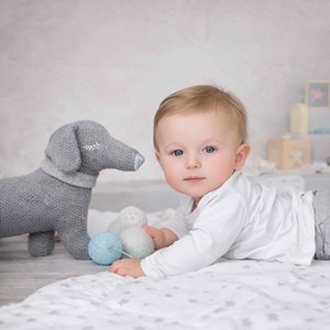 Peluche doudou chien teckel coton bio