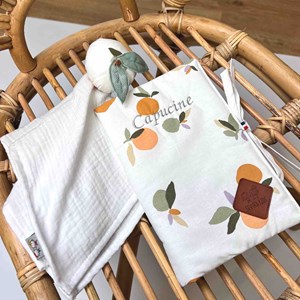 Protège carnet de santé clem