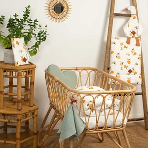 Protège carnet de santé clem