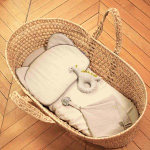 Hochet d'éveil - bio - dino