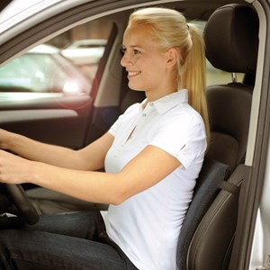 Coussin sissel back  gris