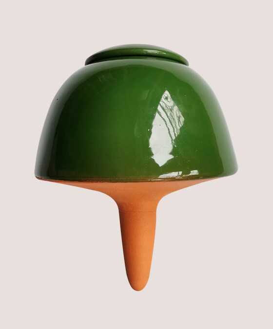 Le Vivant - Papa champi vert