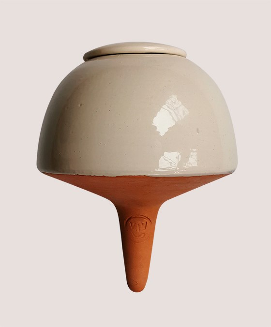 Le Vivant - Papa champi blanc