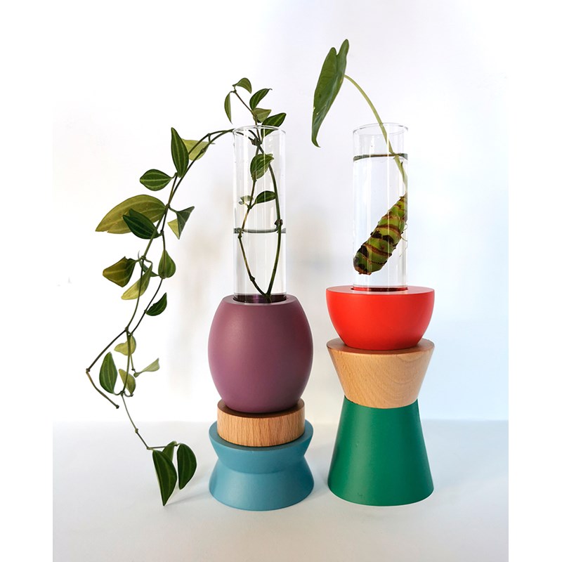 Le Vivant - Kit de bouturage muskari orient