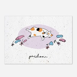 Carte à planter - chat pardon