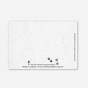 Carte à planter - chat pardon