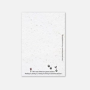 Carte à planter - chat pense à toi