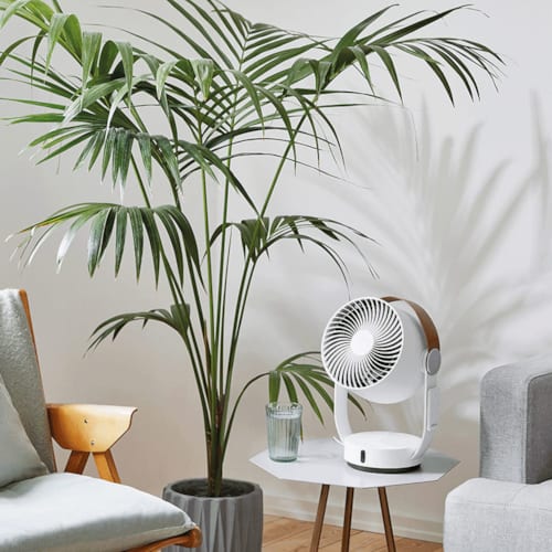 Stadler Form - Ventilateur oscillant leo