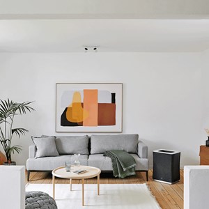 Purificateur connecté roger big