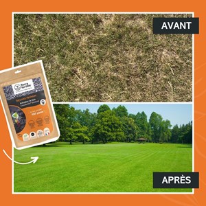 Biochar - fertilisant universel -500g