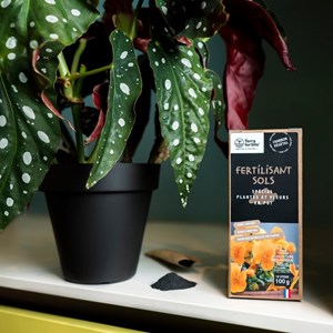 Biochar crescifertilis <1 mm - spécial plantes en pot - 10 sticks de 100g