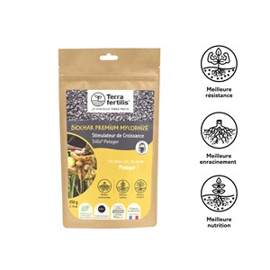 Biochar mycorhizé fertilisant potager