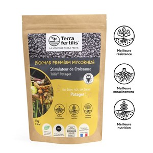 Biochar mycorhizé fertilisant potager