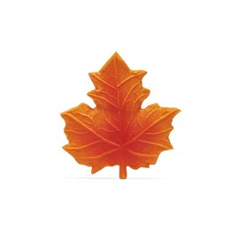 Anneau de dentition - feuille d'érable