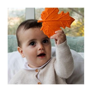 Anneau de dentition - feuille d'érable