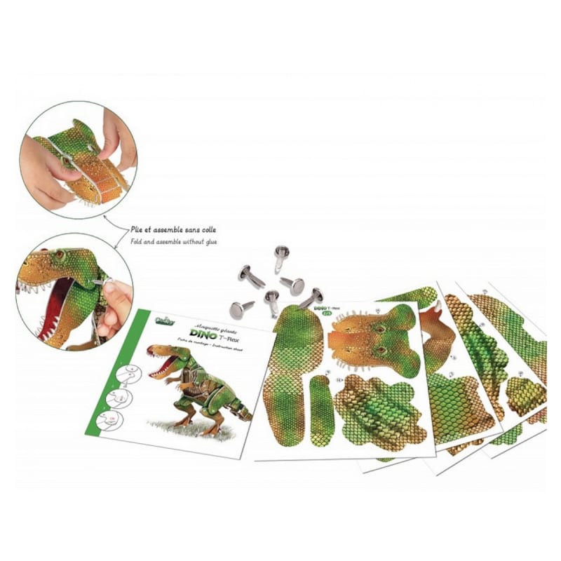 Maquette de dinosaure en cartons (Crea Lign) - Image 1