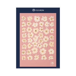 Herbier ecume rose pastel - pochette