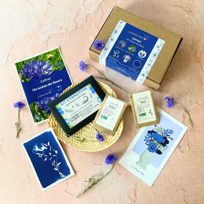 La Pousse Verte - Coffret cyanotype et graines de fleurs