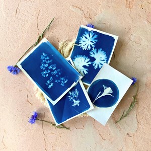 Coffret cyanotype et graines de fleurs