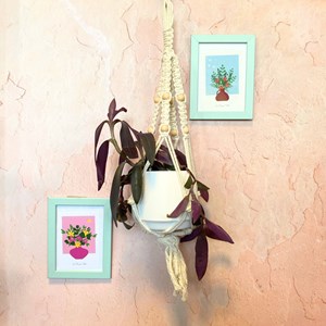 Kit diy suspension macramé pour plantes