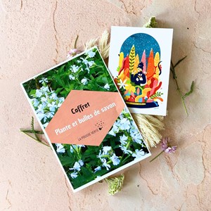 Coffret jardinage diy savon graines