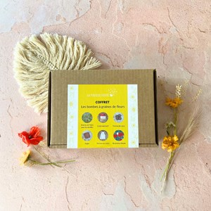 Coffret les bombes à graines de fleurs