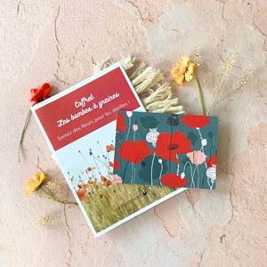 Coffret les bombes à graines de fleurs