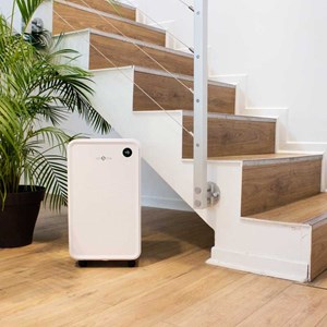 Déshumidificateur lary 12l-j