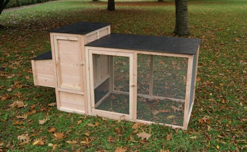 Poulailler célestin douglas 2 à 4 poules
