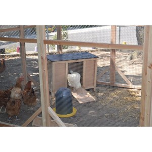 Pondoir émile s pour 2 à 3 poules