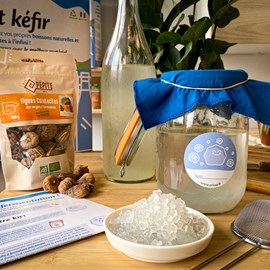 Kit kéfir de fruit bio complet