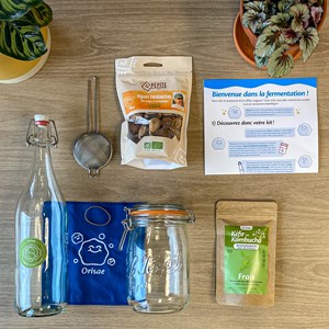 Kit kéfir de fruit bio complet