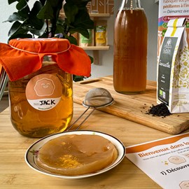 Kit kombucha bio complet