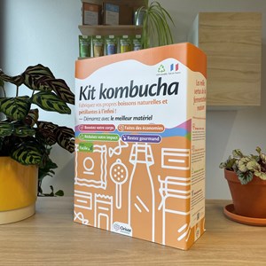 Kit kombucha bio complet