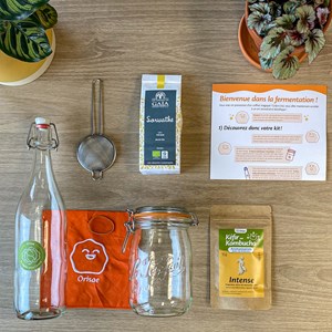 Kit kombucha bio complet