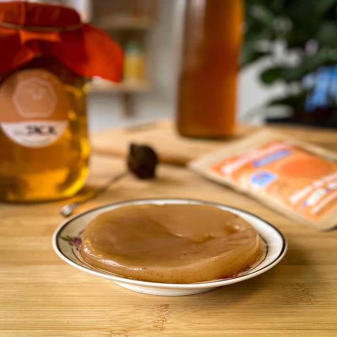 Mère de kombucha fraîche bio Nature & Découvertes